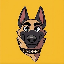 CZ's Dog