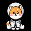 Asteroid Shiba