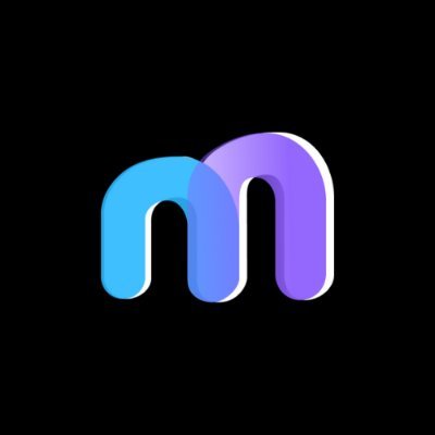 Metaintro