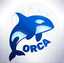 Orca Def-Ai